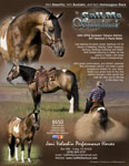 T_Starbuck_flyer_back.jpg